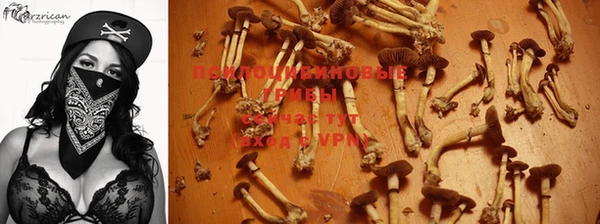 гашик Бугульма