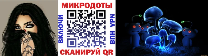 Галлюциногенные грибы Psilocybe  наркотики  Кызыл 